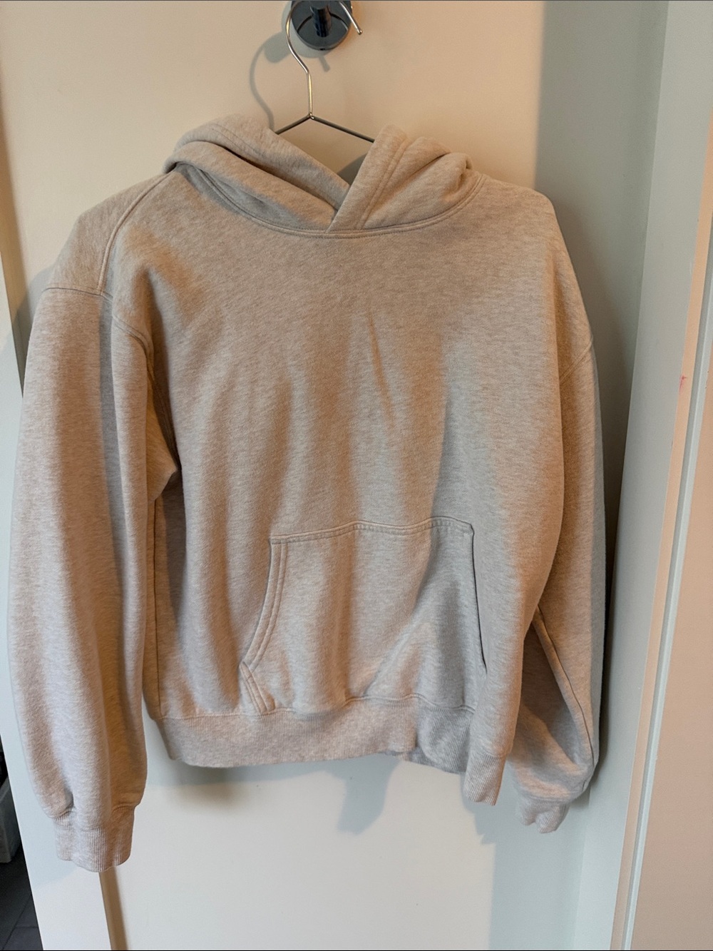 Aritzia Hoodie in Light Gray